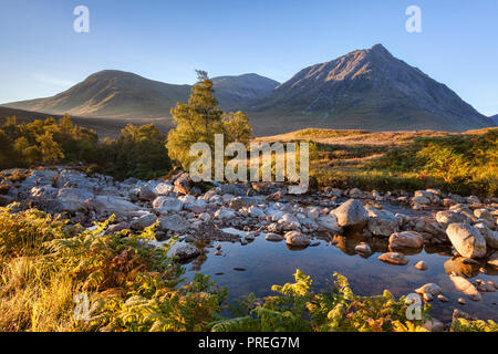 Herbst in Glencoe, Lochaber, Highland, Schottland, UK. Stockfoto