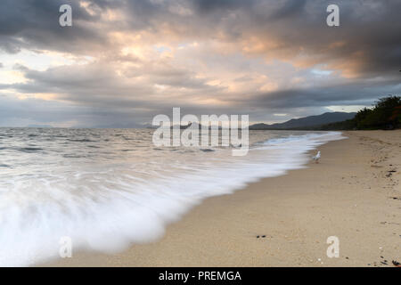 Palm Cove Beach Sunrise mit fließenden Kurven Stockfoto