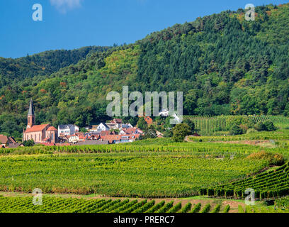 Blick auf einen Weinberg in Richtung Eguisheim Dorf Stockfoto
