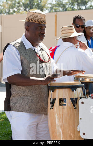 Afro-Panamanian Mann spielt Conga drums (tumbadora) während kulturelle Veranstaltung - USA Stockfoto