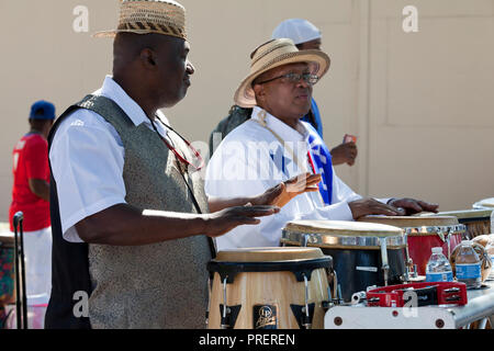 Afro-Panamanian Mann spielt Conga drums (tumbadora) während kulturelle Veranstaltung - USA Stockfoto