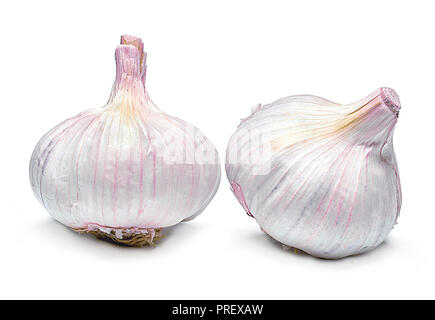 Schönen frischen Knoblauch. Gruppe von Objekten oder Zutaten zum Kochen, auf weißem Hintergrund. Nahaufnahme, Ansicht von oben. Stockfoto