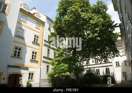 Wien, Blutgasse - Wien, Blutgasse Stockfoto