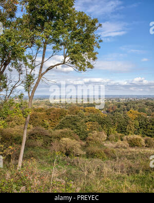 Blick über Hurstpierpoint aus Wolstonbury Hill Stockfoto