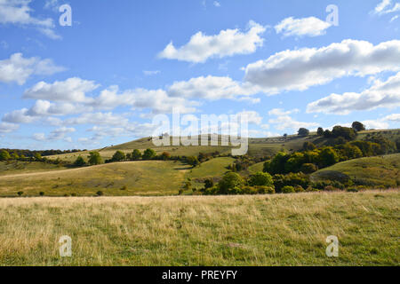 Die schöne Pegsdon Hügel und Hoo Bit Naturschutzgebiet ein beliebter Ort mit Spaziergängern in der Nähe des Dorfes Pegsdon, Hertfordshire, England Stockfoto