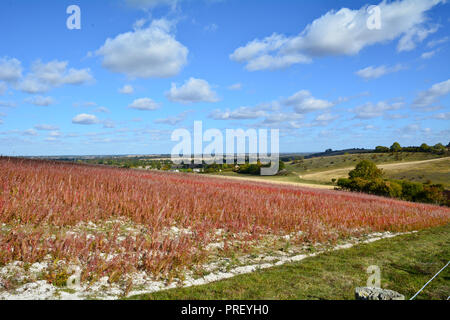 Blick von der schönen Pegsdon Hügel und Hoo Bit Naturschutzgebiet ein beliebter Ort mit Spaziergängern in der Nähe des Dorfes Pegsdon, Hertfordshire, England Stockfoto