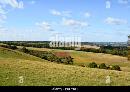 Blick von der schönen Pegsdon Hügel und Hoo Bit Naturschutzgebiet ein beliebter Ort mit Spaziergängern in der Nähe des Dorfes Pegsdon, Hertfordshire, England Stockfoto