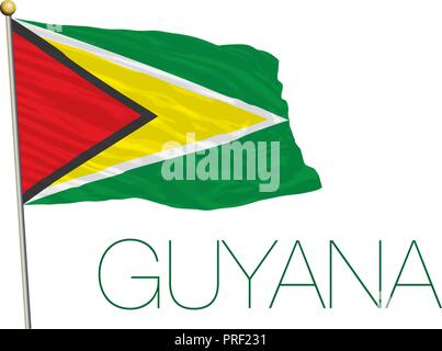 Guyana offizielle Flagge, Vector Illustration Stock Vektor