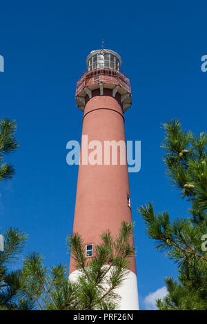 Ein Blick auf die historische Barnegat Leuchtturm auf Long Beach Island. Allgemein als Alte Barney bekannt. Stockfoto