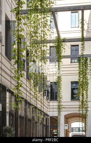 Wien, Begrünter Innenhof Wollzeile 1-3 Stockfoto