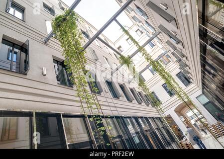 Wien, Begrünter Innenhof Wollzeile 1-3 Stockfoto