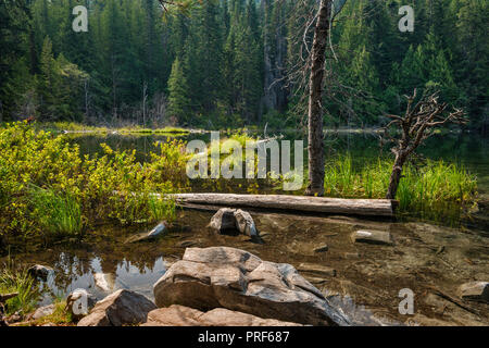 Hidden Lake, in der Nähe von Lake Wenatchee, Wenatchee National Forest, zentrale Kaskaden, Washington State, USA Stockfoto