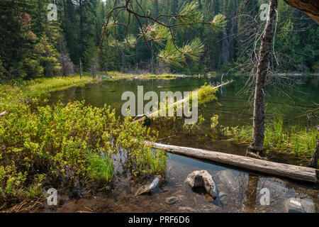 Hidden Lake, in der Nähe von Lake Wenatchee, Wenatchee National Forest, zentrale Kaskaden, Washington State, USA Stockfoto