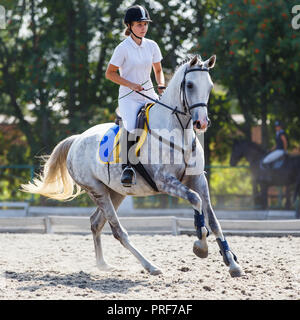 Junge Reiterin Mädchen Galopp auf ihrem Kurs in Reitturnier Stockfoto