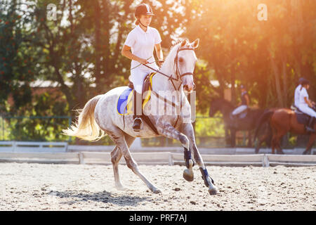 Junge Reiterin Mädchen Galopp auf ihrem Kurs in Reitturnier Stockfoto