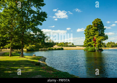 Sommer am Nachmittag in Petworth, West Sussex. Stockfoto