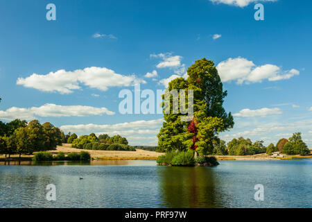 Am späten Nachmittag in Petworth, West Sussex, England. Stockfoto