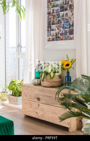 Fotos oben Zimmerpflanzen und Sonnenblumen in London Ferienwohnung Stockfoto