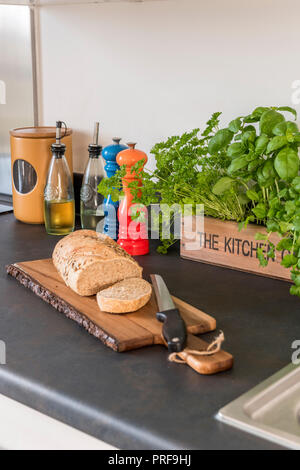 Breadbord und Messer mit Gewürzen und Kräutern Stockfoto