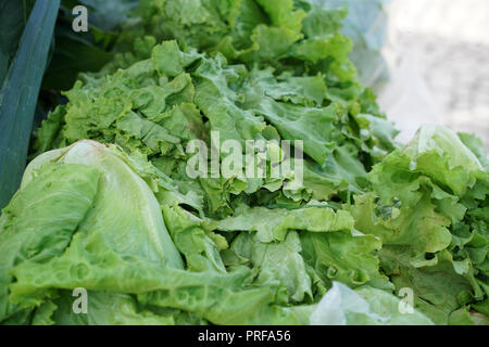 Ein Gemüsemarkt in Portugal bietet farbenfrohe Früchte und Gemüse Stockfoto