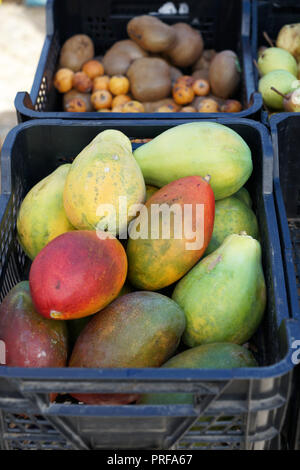 Ein Gemüsemarkt in Portugal bietet farbenfrohe Früchte und Gemüse Stockfoto
