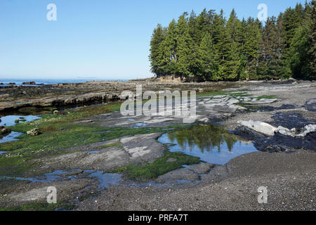 Botanical Beach, Port Renfrew, Vancouver Island, Kanada Stockfoto