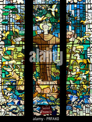 Hl. Franz von Assisi, dem Schutzpatron der Ökologie, der Pfarrkirche von Chesterfield, Derbyshire, UK. Stockfoto