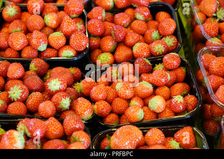 Ein Gemüsemarkt in Portugal bietet farbenfrohe Früchte und Gemüse Stockfoto