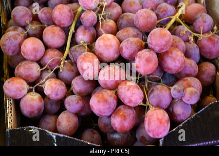 Ein Gemüsemarkt in Portugal bietet farbenfrohe Früchte und Gemüse Stockfoto