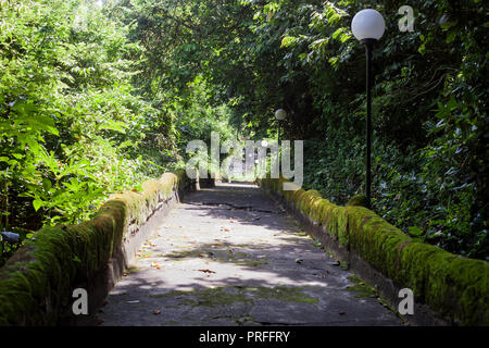 Sommer Landschaft mit Weg und tropischen Wald, Sommer sonnigen Tag. Alte Straße und Wäldern in der Nähe von Tempel auf Bali, Indonesien Stockfoto