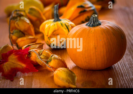 Thanksgiving und Halloween Kürbisse Stilleben Stockfoto
