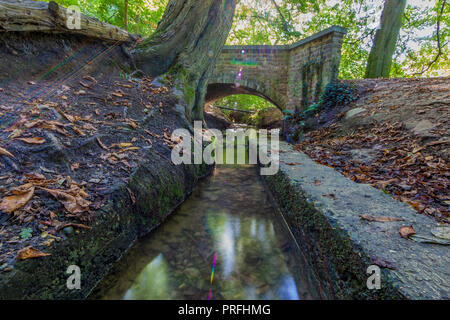 Kleiner Fluss in der Mitte des in Kelmonderbos mit einer steinernen Brücke in Beek Süd Limburg in den Niederlanden Holland Stockfoto