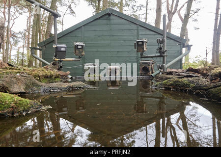 Wildlife DSLR-Kamera trap Ausrüstung einschließlich drei Kameras, drei Speedlight blinkt ein Remote Sensor auf eine Reflexion Teich, East Yorkshire, Großbritannien. Stockfoto