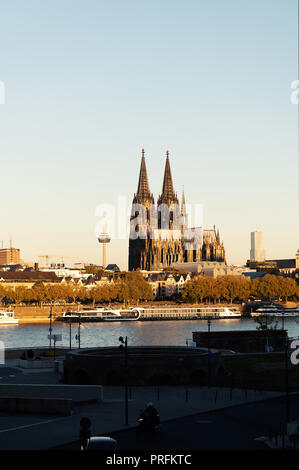 Panorama von Köln mit Dom am Morgen. Stockfoto