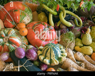 Home Obst und Gemüse auf dem Display für eine Harvest Festival Stockfoto