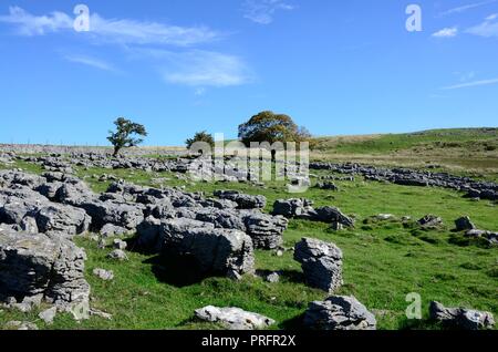 Kalksteinlandschaft Felsbrocken Ystradfellte Brecon Beacons National Park Fforest Fawr UNESCO Goepark Wales Cymru GROSSBRITANNIEN Stockfoto