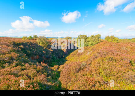 Das lange Tal von einem alten verlassenen Steinbruch läuft über Stanton Moor im Derbyshire Dales. Watte Wolken dot ein blauer Himmel. Stockfoto