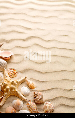 Blick von oben auf die Sanddünen mit Muscheln Stockfoto