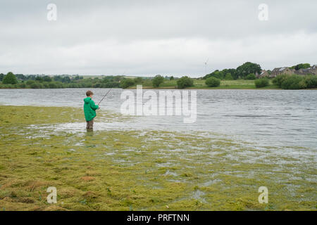 Acht Jahre alten Jungen Forellen bei Scout Deich Reservoir, Thurlstone, Sheffield, Großbritannien Stockfoto
