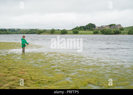 Acht Jahre alten Jungen Forellen bei Scout Deich Reservoir, Thurlstone, Sheffield, Großbritannien Stockfoto