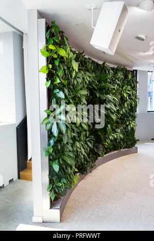 Living Green wall, vertikalen Garten im Innenbereich mit Blumen und Pflanzen unter Kunstlicht in Sitzung Sitzungssaal, modernes Bürogebäude Stockfoto