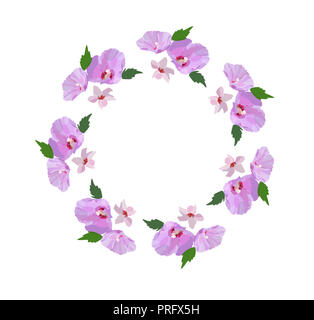 Floral Design Kranz, mit Hibiskus Blüten und Blätter Hand gezeichnet. Bunte vektor Illustration. Stockfoto