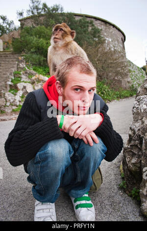 Macaque Affen sitzen auf touristische, Gibraltar, Stockfoto