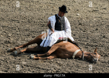 Reitsport in der Region Puszta in Ungarn Stockfoto