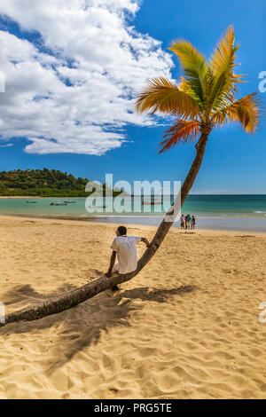 Palmen am Strand von Nosy in Madagaskar, Afrika. Stockfoto