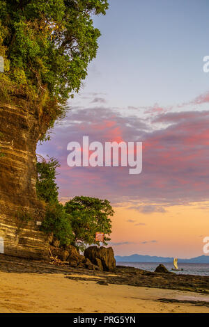 Palmen am Strand von Nosy in Madagaskar, Afrika. Stockfoto