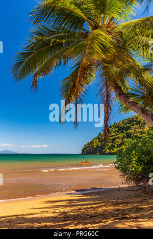 Palmen am Strand von Nosy in Madagaskar, Afrika. Stockfoto