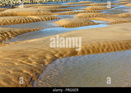 Ein Blick auf den Strand an der Küste von North Norfolk im Osten Runton, Norfolk, England, Vereinigtes Königreich, Europa. Stockfoto