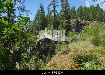 Elk Falls Suspension Bridge, Vancouver Island, Kanada Stockfoto