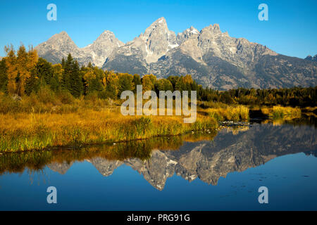 Blick von der Schwabacher Landung am Grand Teton National Park, Wyoming Stockfoto